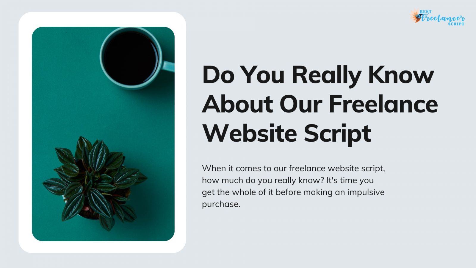 Freelance Website Script